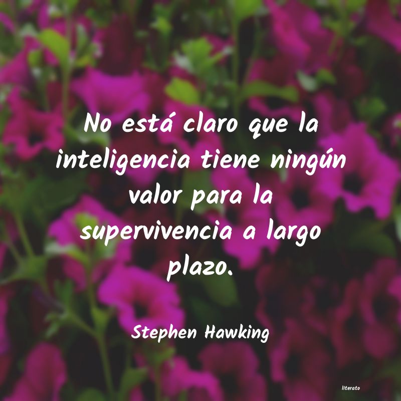 frases de Stephen Hawking