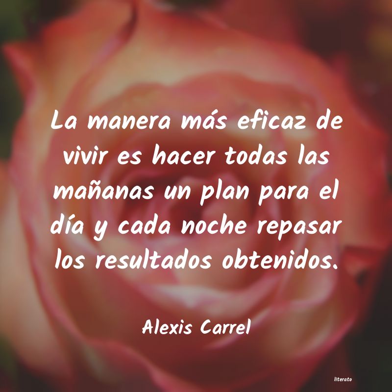 frases de Alexis Carrel