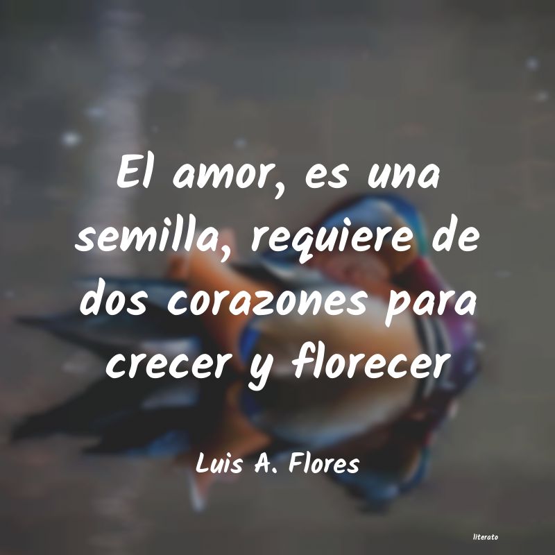 Frases de Luis A. Flores