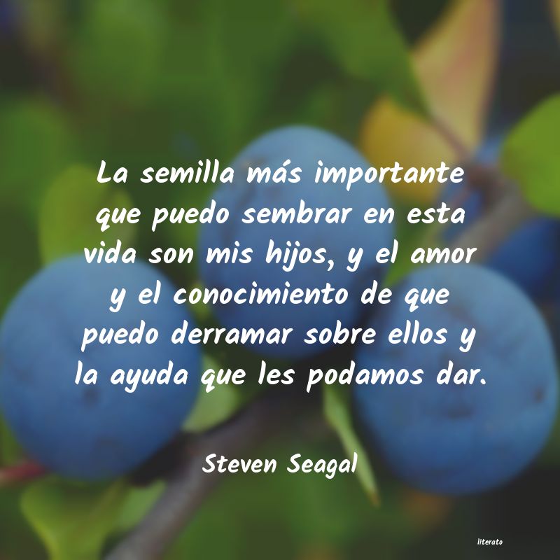 frases de Steven Seagal