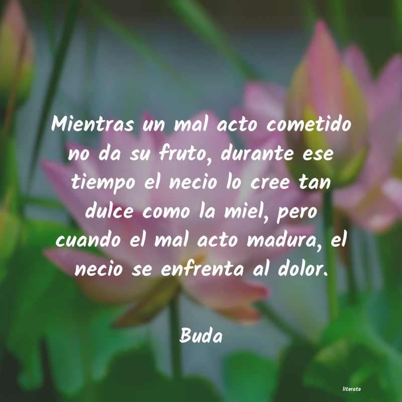 Frases de Buda