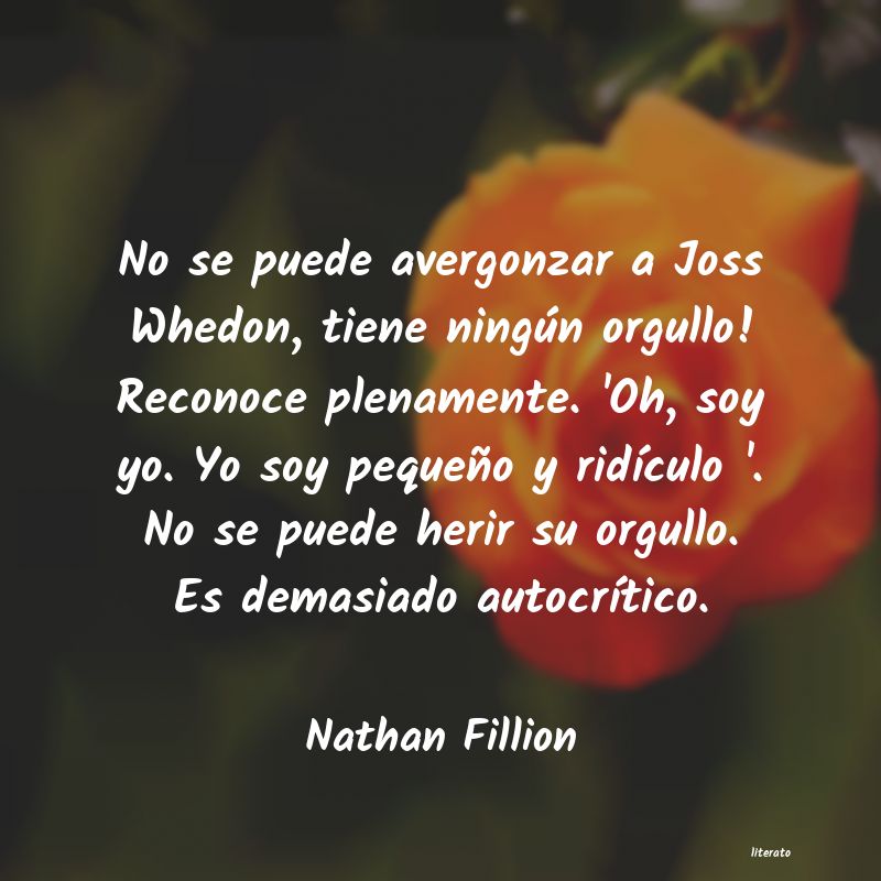 frases de Nathan Fillion