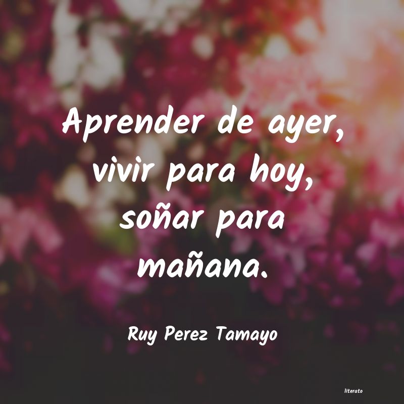 Frases de Ruy Perez Tamayo