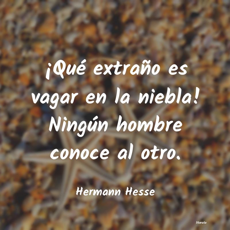 Frases de Hermann Hesse