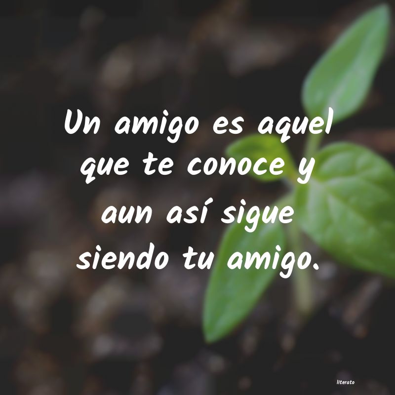 frases