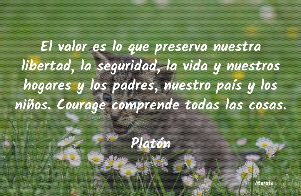 Frases de Platón