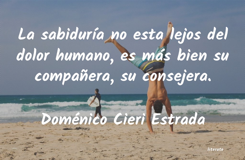 cieri domenico libros