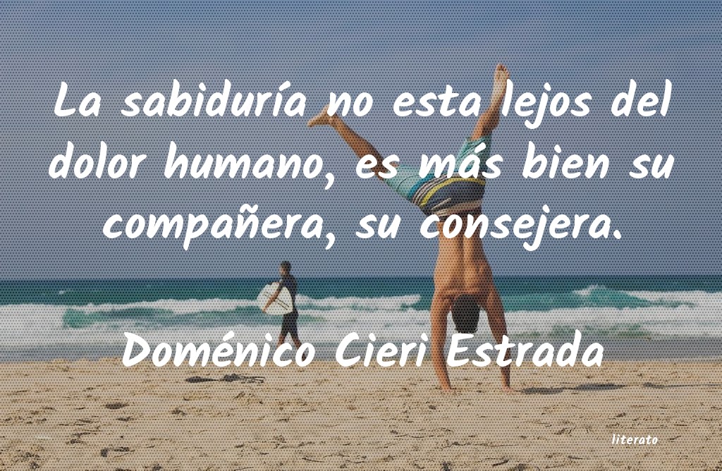 Frases de Doménico Cieri Estrada