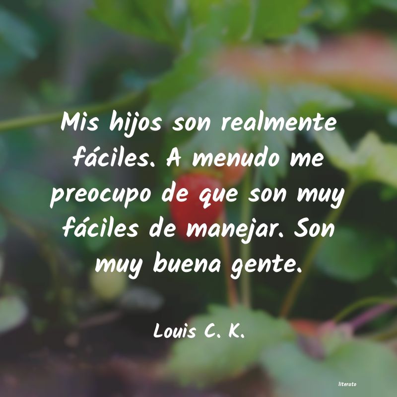 frases de Louis C. K.