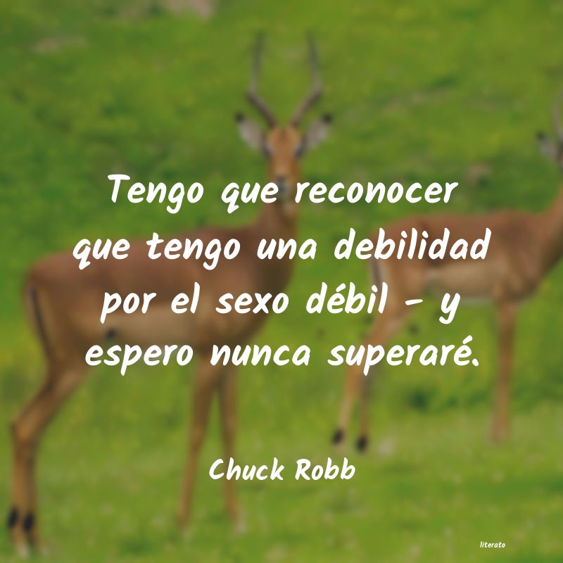 frases de Chuck Robb