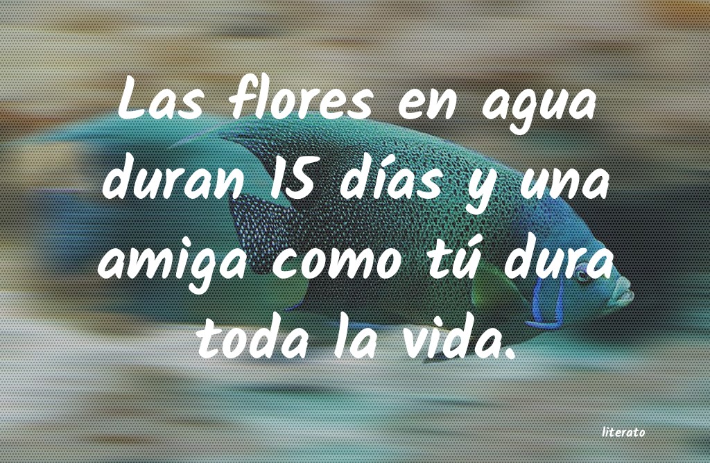 frases