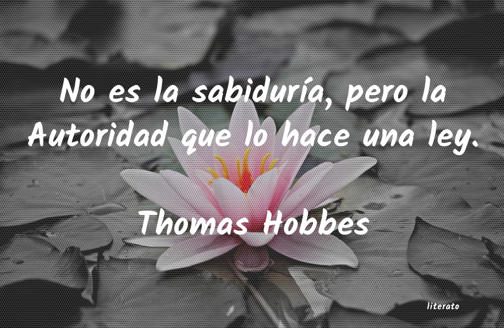 Thomas Hobbes: No es la sabiduría, pero la A