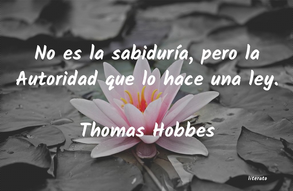 Frases de Thomas Hobbes