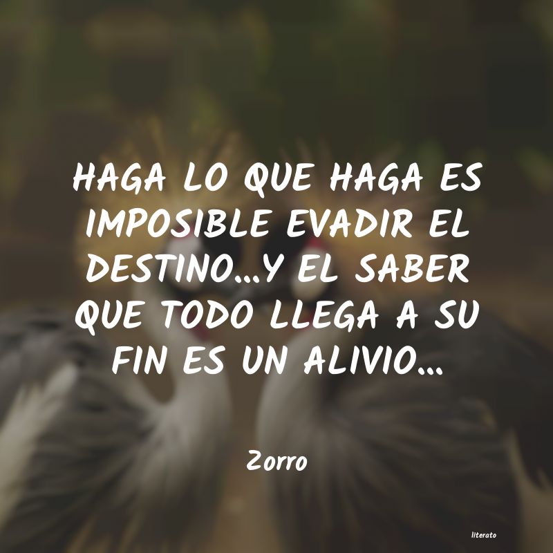 frases de Zorro