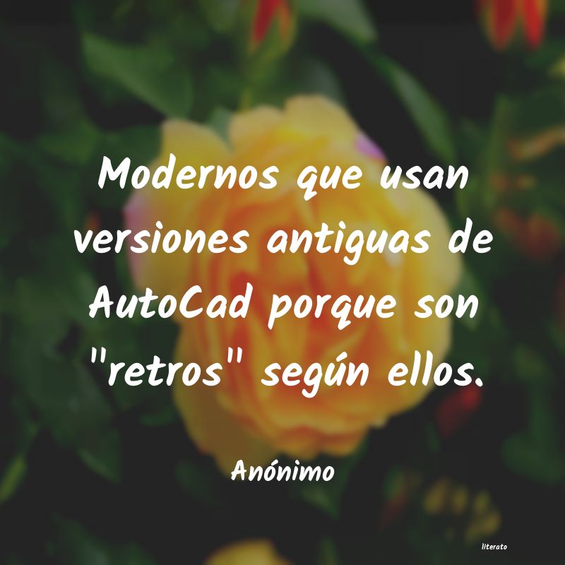 frases