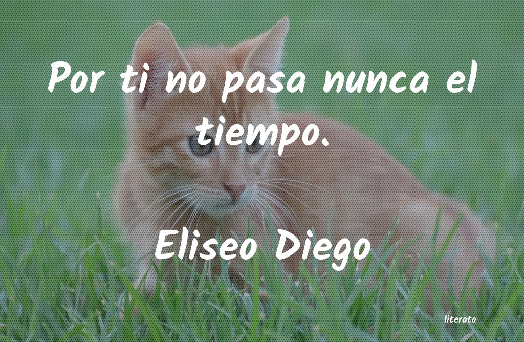 Frases de Eliseo Diego