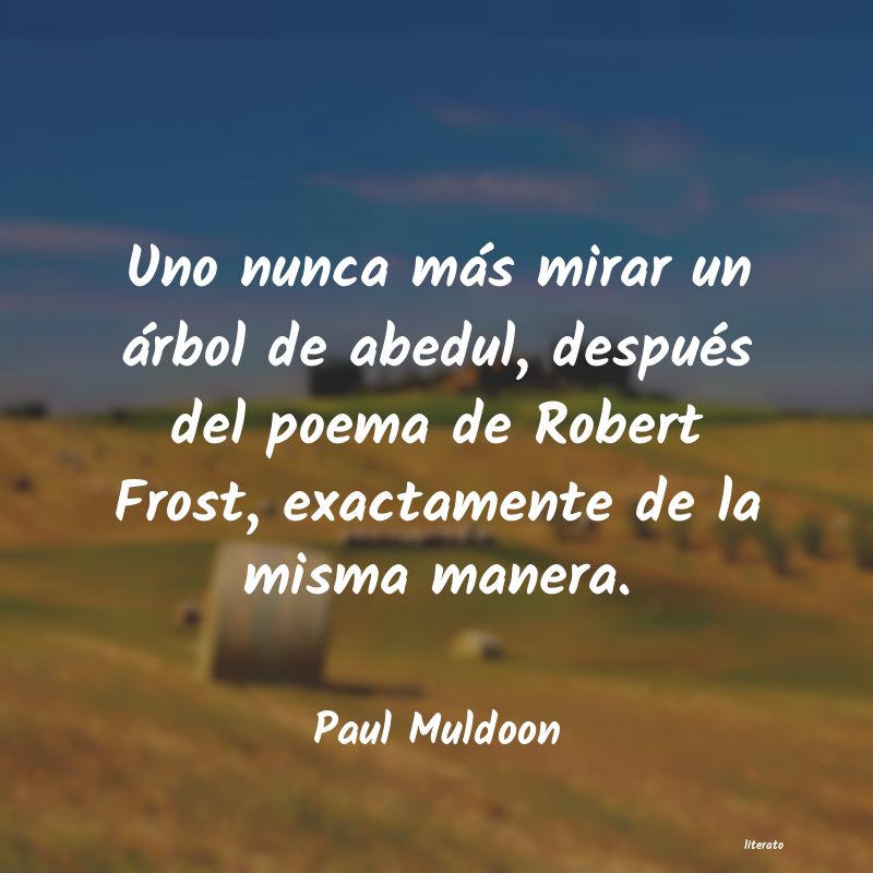 Frases de Paul Muldoon