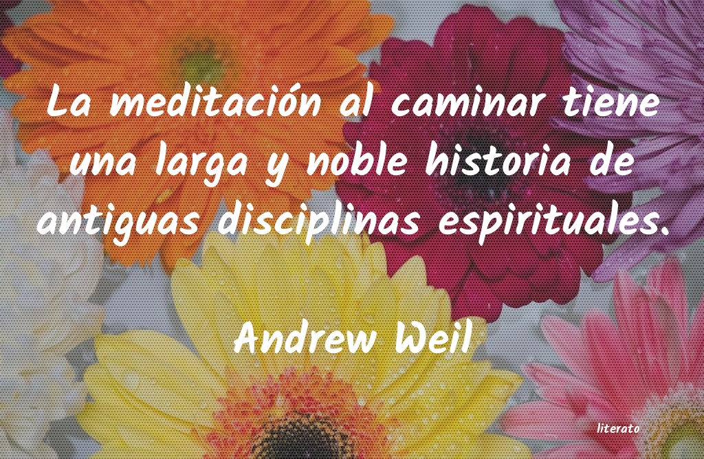 Frases de Andrew Weil