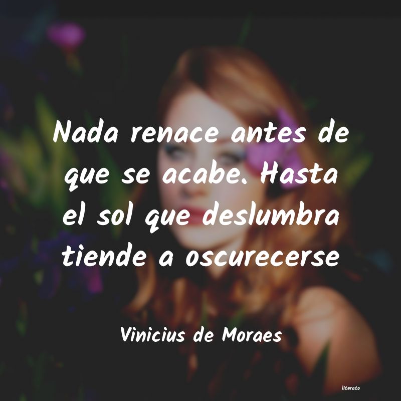 Frases de Vinicius de Moraes