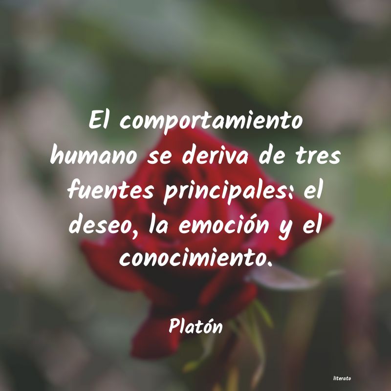 Frases de Platón