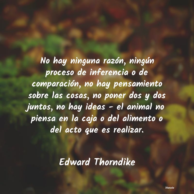 Frases de Edward Thorndike