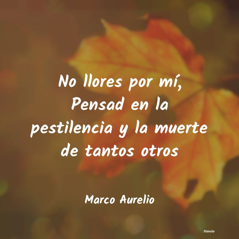 frases de Marco Aurelio