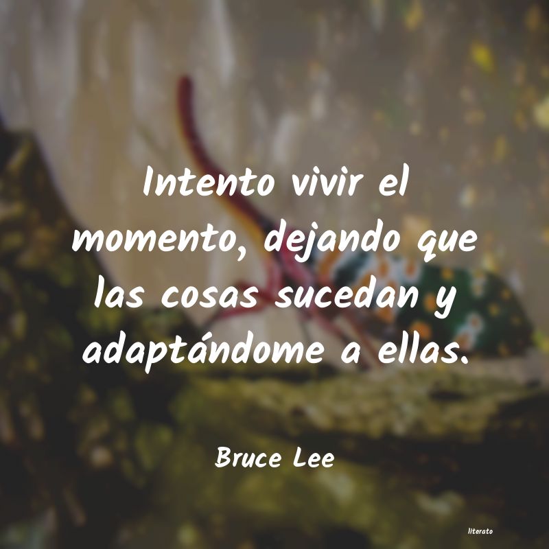 frases de Bruce Lee
