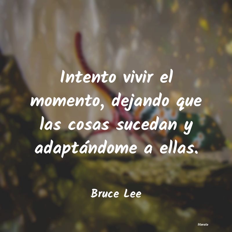 Frases de Bruce Lee