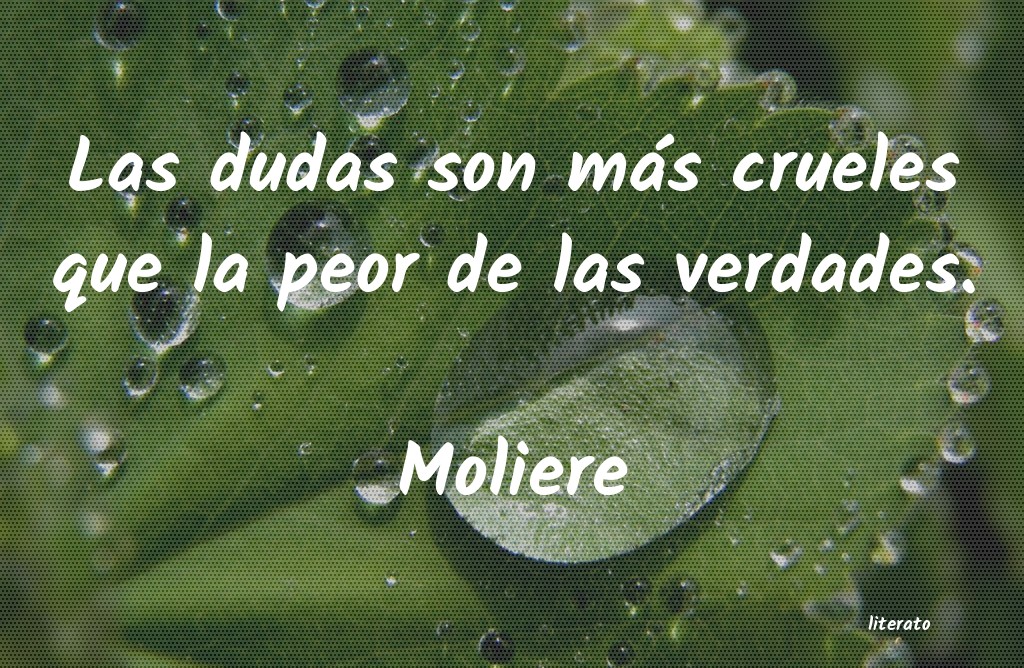 Frases de Moliere