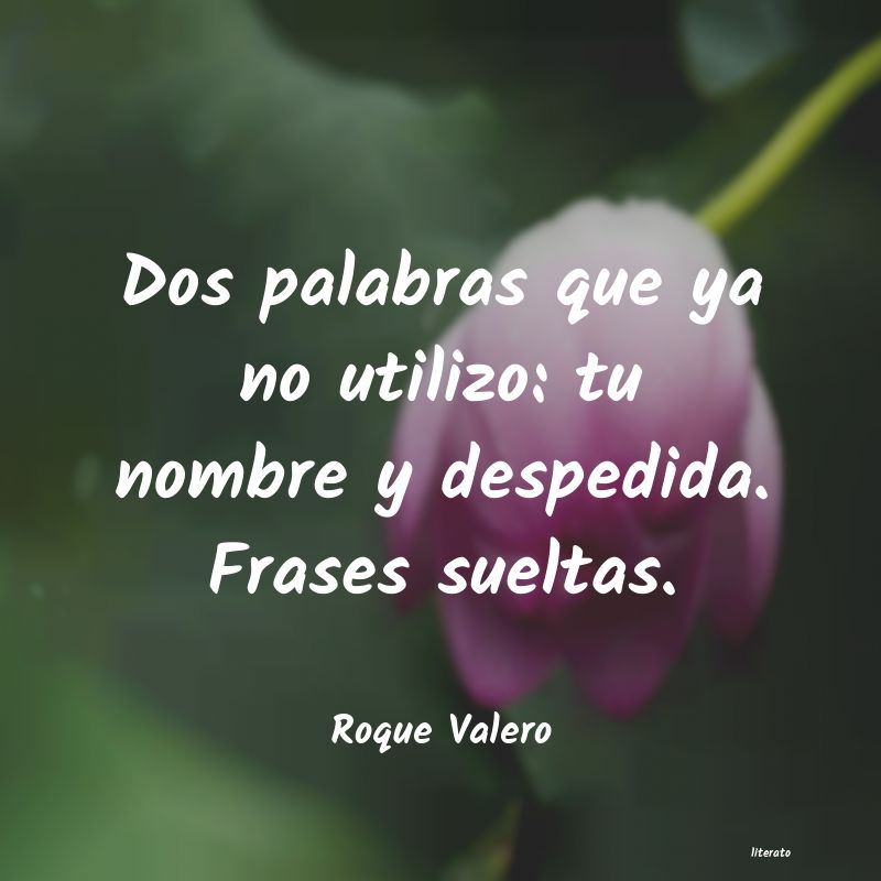 Frases de Roque Valero