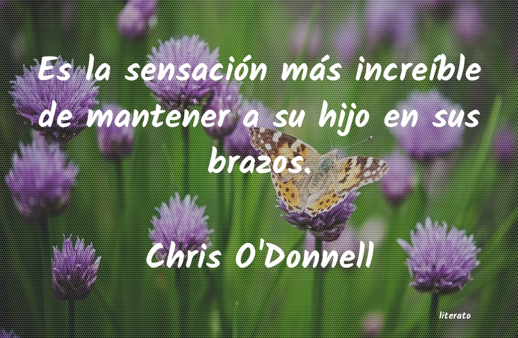 frases de Chris O'Donnell