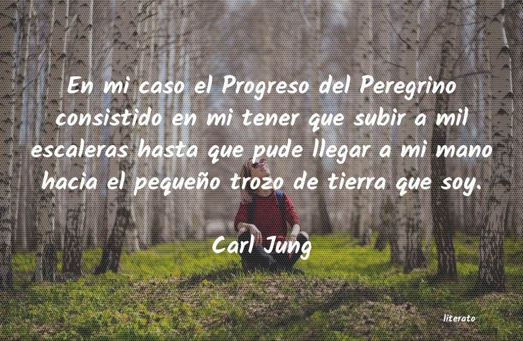 carl jung sentido