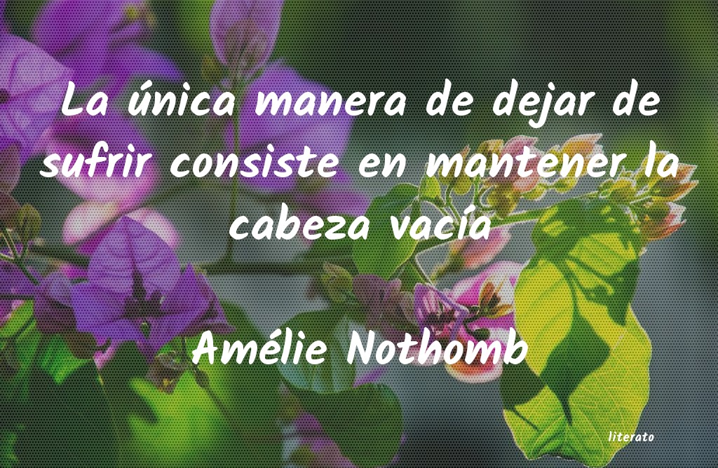 Frases de Amélie Nothomb