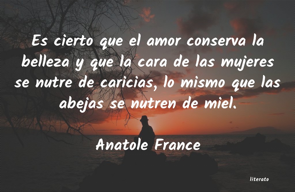 Frases de Anatole France