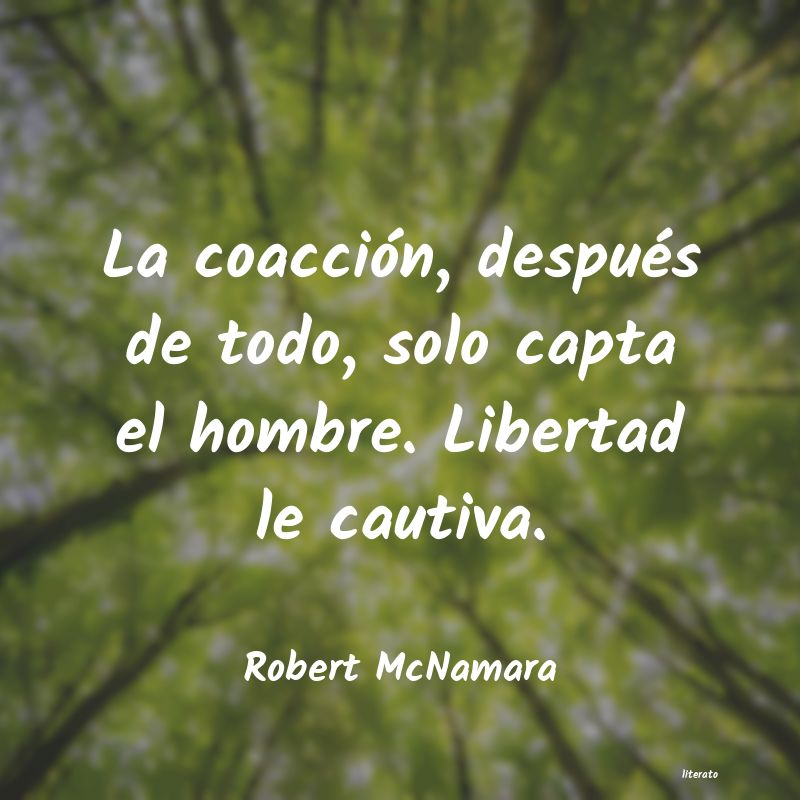 Frases de Robert McNamara