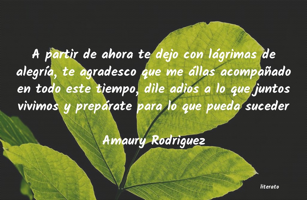 Frases de Amaury Rodriguez