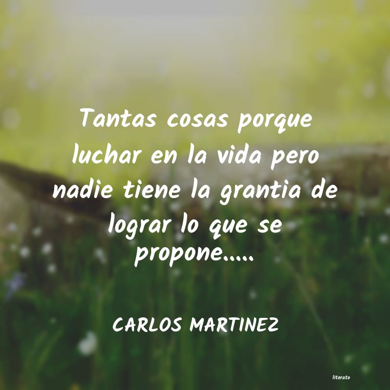 Frases de CARLOS MARTINEZ
