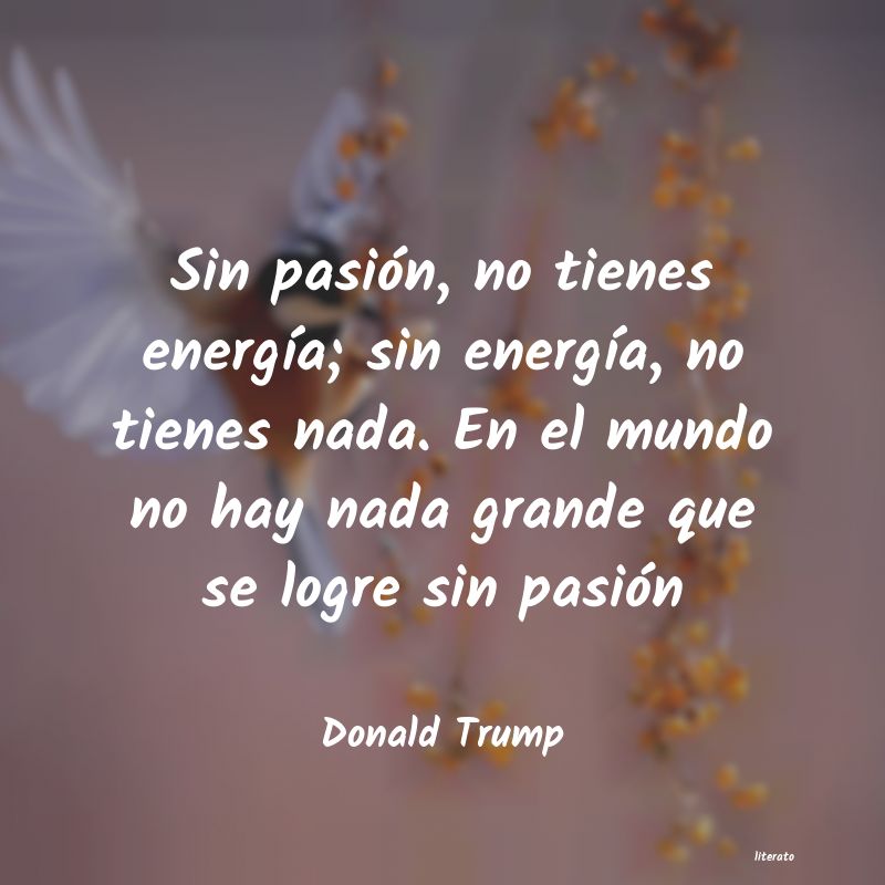 frases de Donald Trump