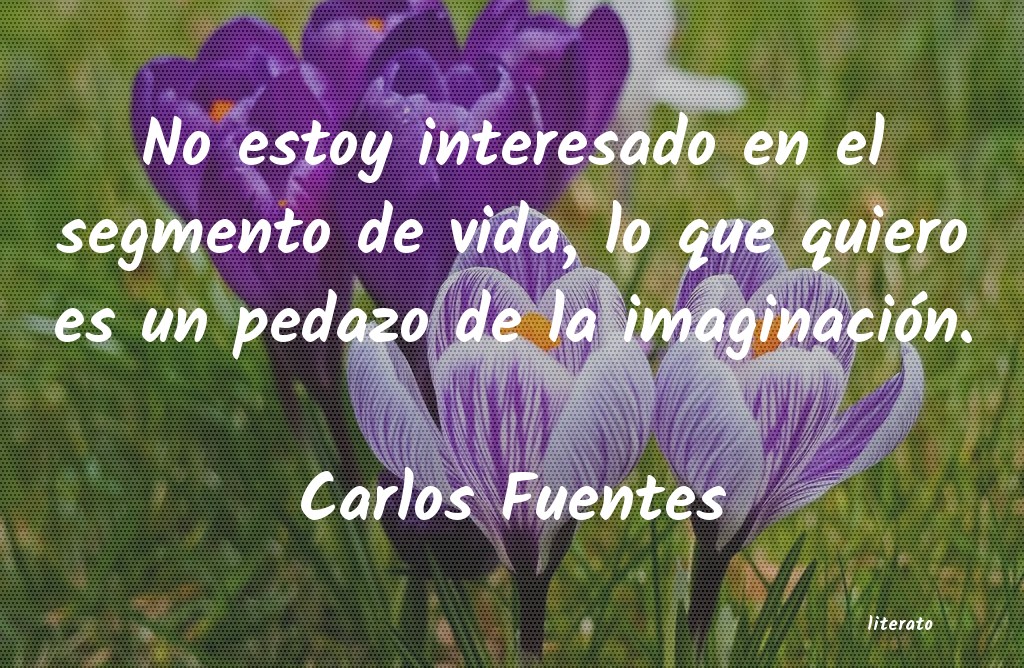 Frases de Carlos Fuentes