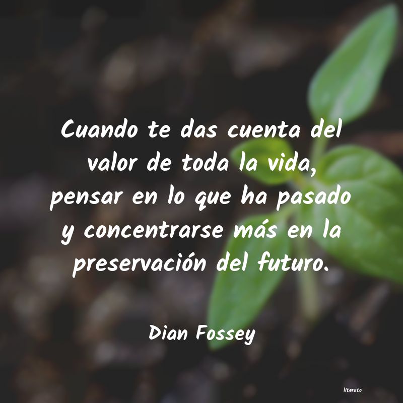 frases de Dian Fossey