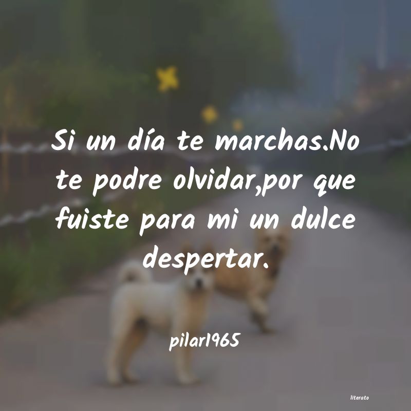 Frases de pilar1965