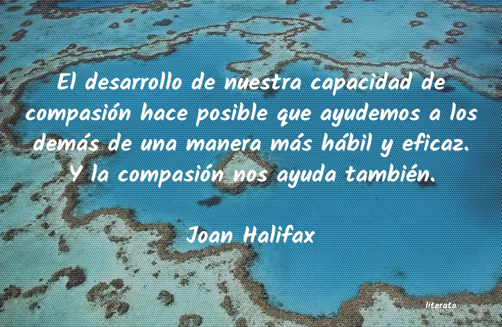 frases de Joan Halifax