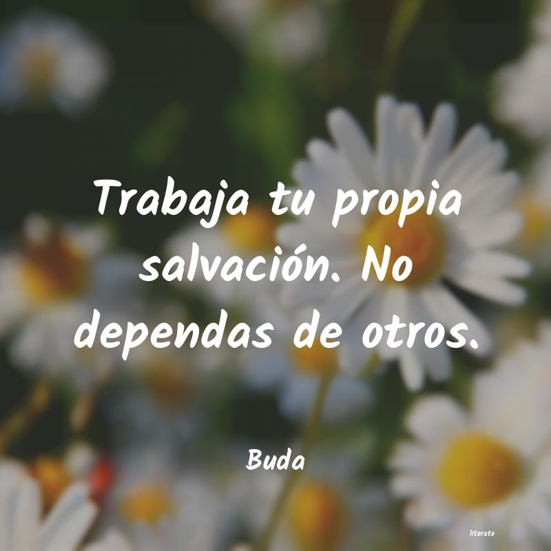 Frases de Buda