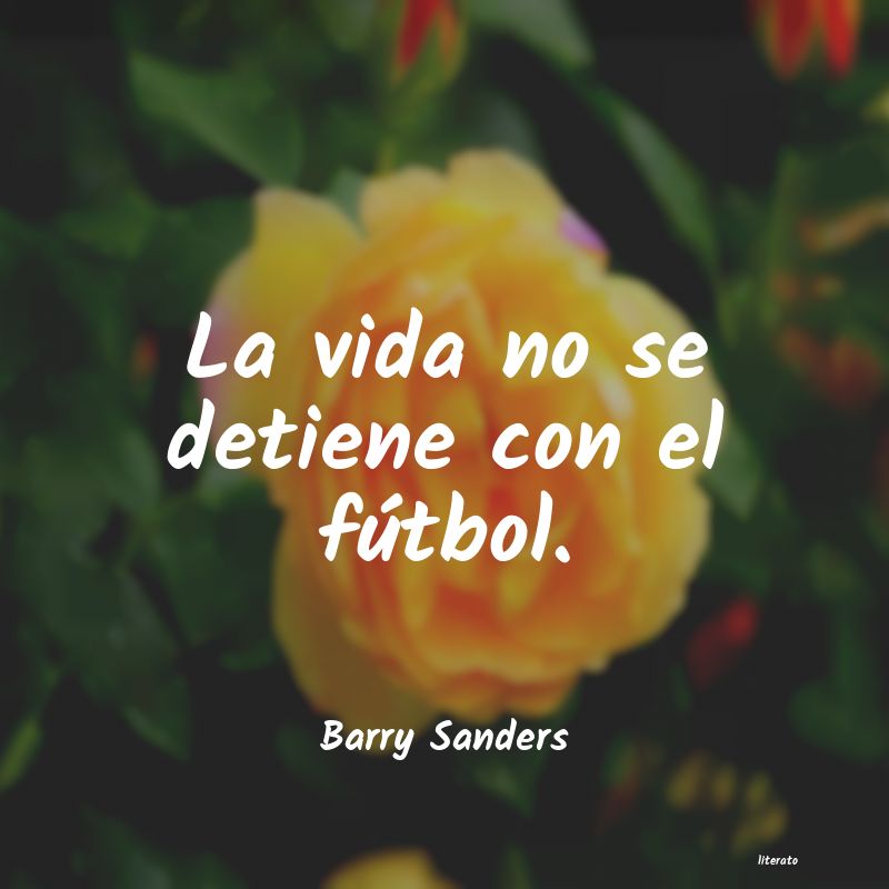 frases de Barry Sanders