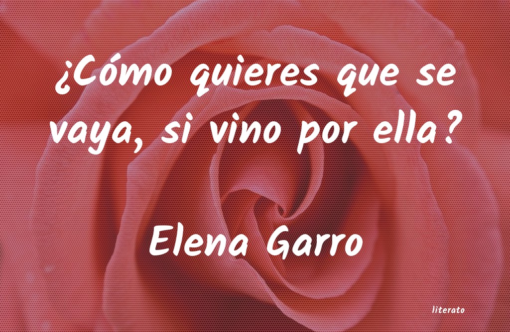 Frases de Elena Garro