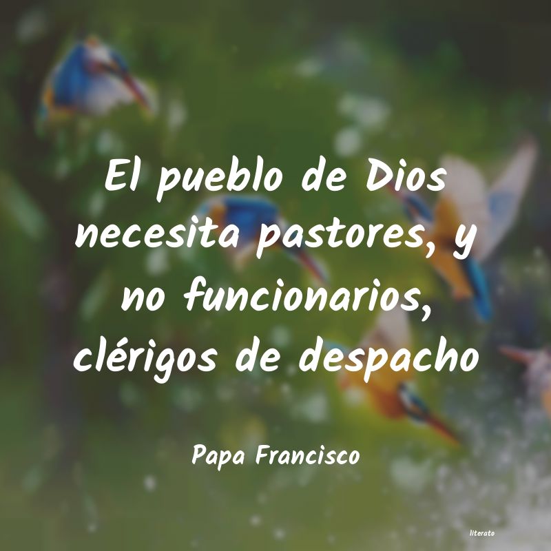 Frases de Papa Francisco