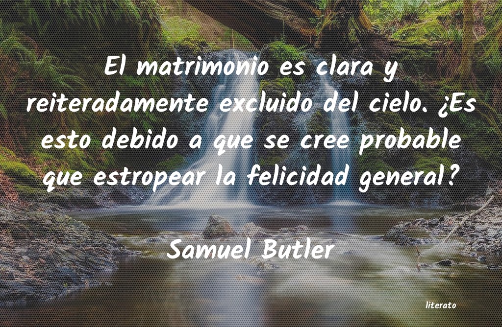 Frases de Samuel Butler