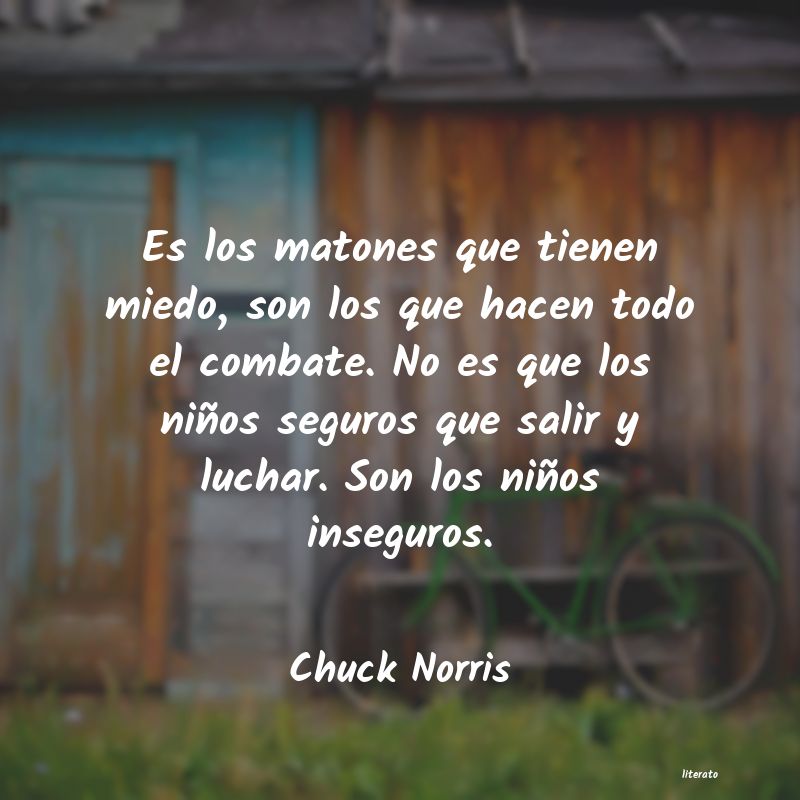 frases de Chuck Norris