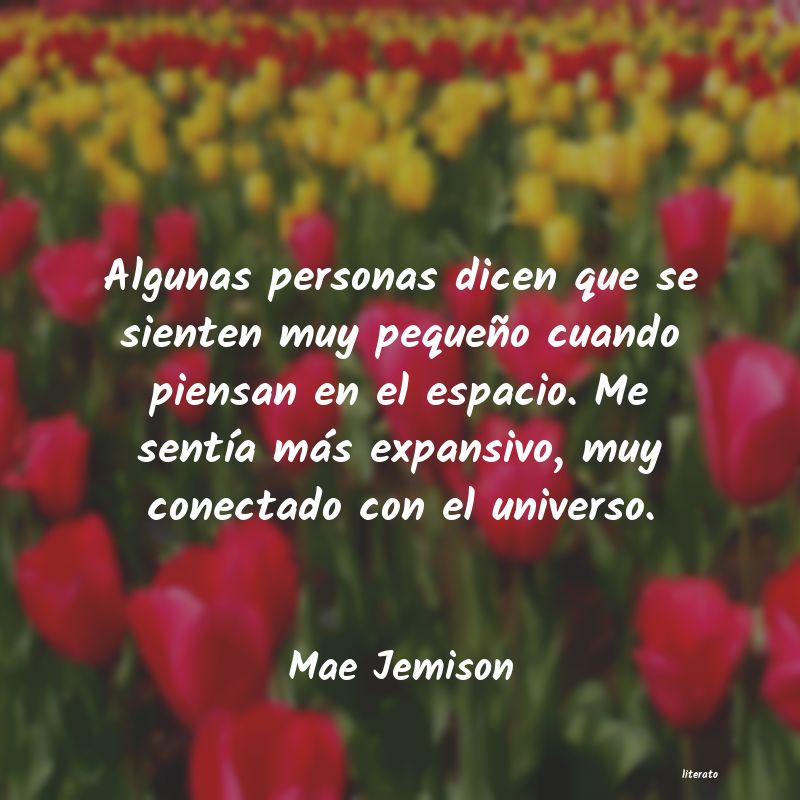frases de Mae Jemison