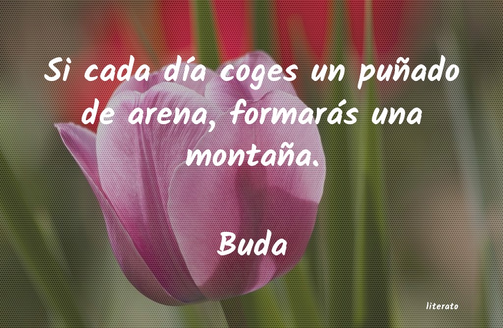 Frases de Buda